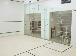 shidnycya-008